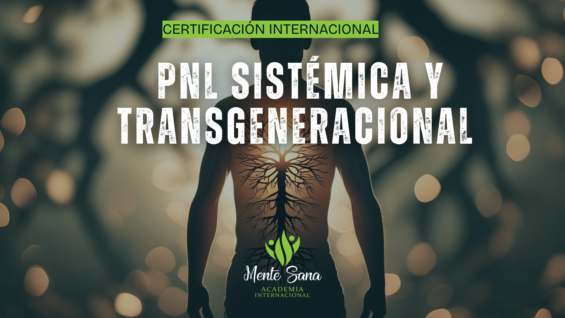 Certificación Internacional en PNL Sistémica y Transgeneracional